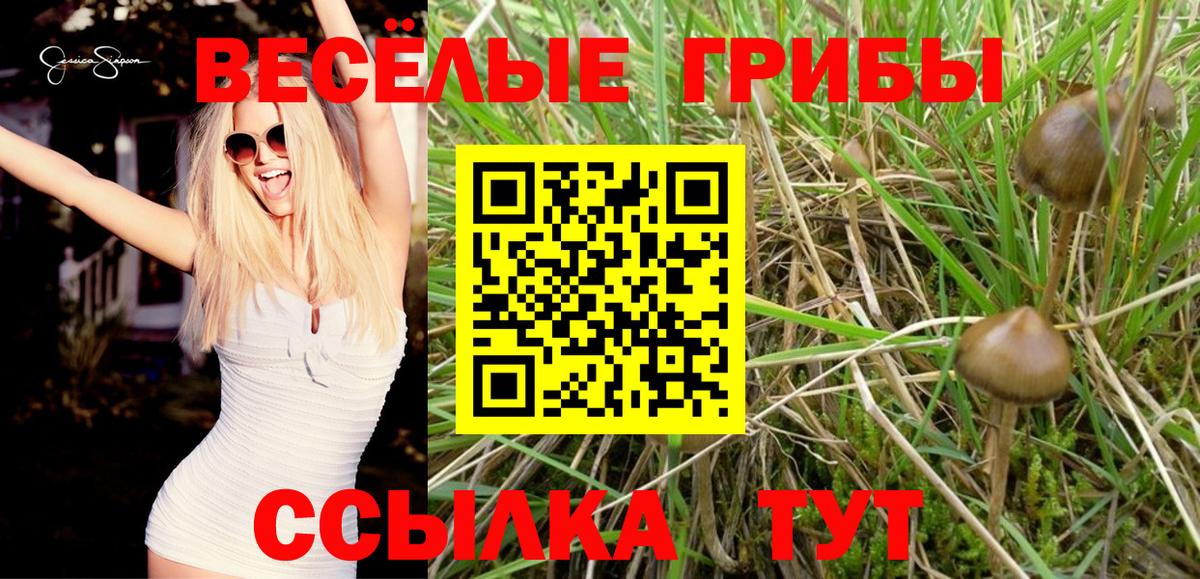 Псилоцибиновые грибы Psilocybe  Вход с VPN  Благовещенск  Псилоцибиновые грибы Cubensis 