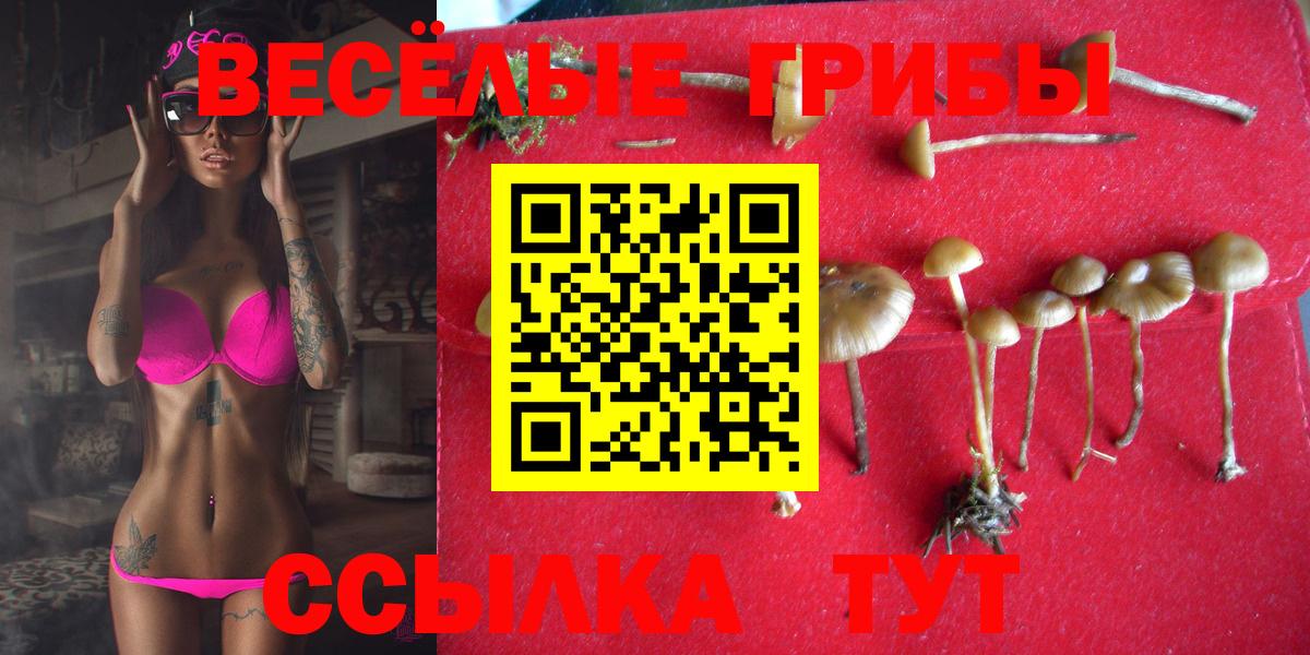 Галлюциногенные грибы GOLDEN TEACHER Благовещенск